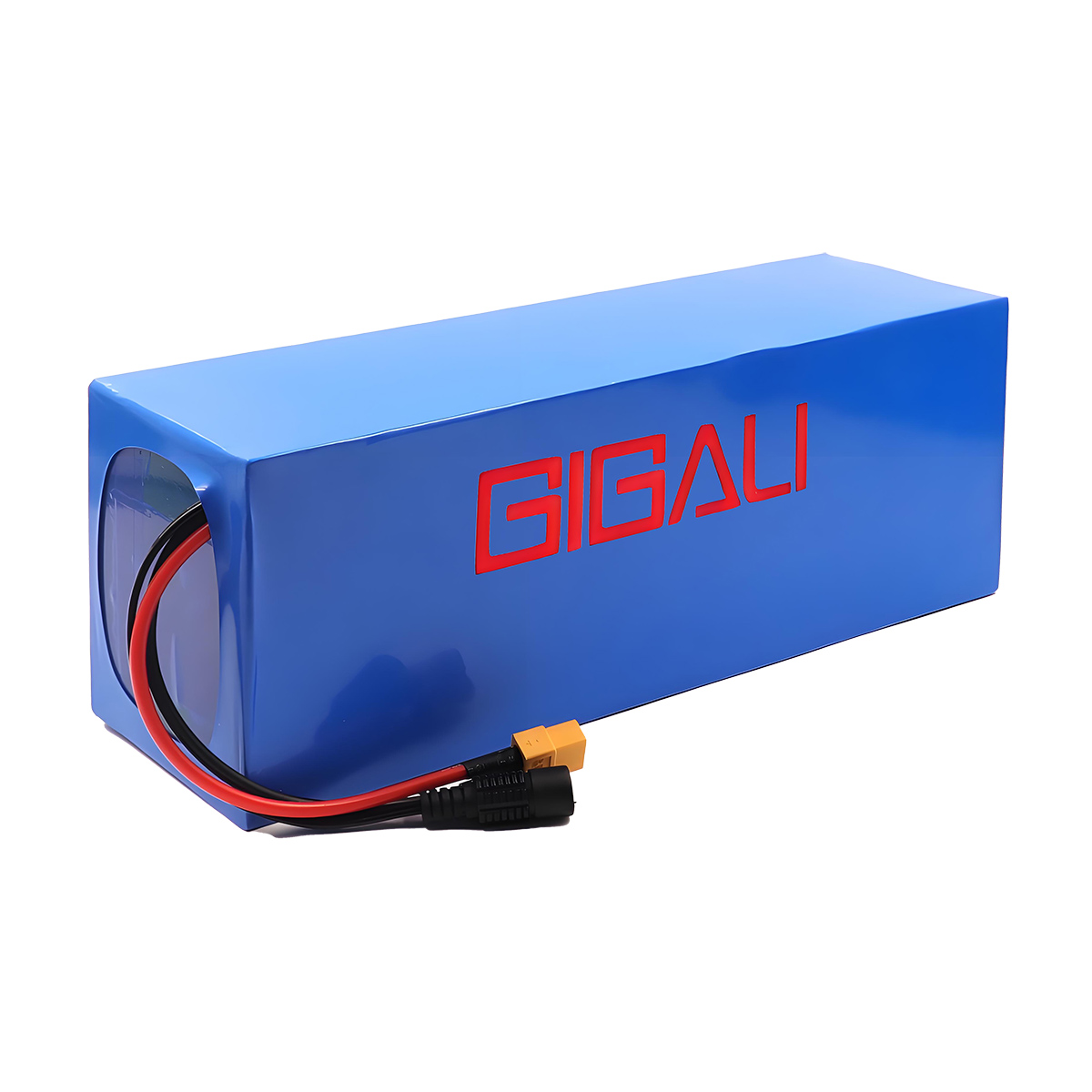 Gigalienergy 48V 10Ah